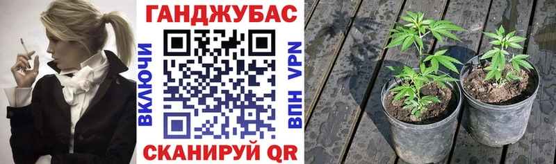 Шишки марихуана марихуана  наркота  Трёхгорный 